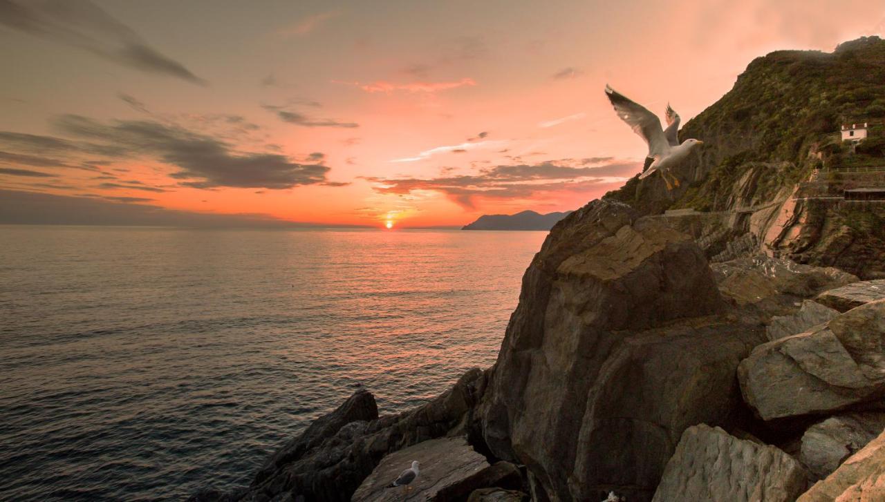 Terra Prime Suite Riomaggiore Eksteriør billede